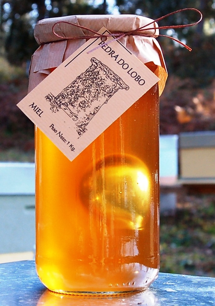 miel de eucalipto